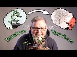 Bonsaify | Making a Ficus Bonsai Part VII: "The Return of the Sketch"