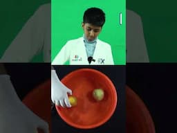 Do Fruits Float or Sink? | Easy Buoyancy Experiment for Kids |