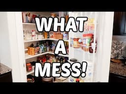 Pantry Clean Out & Organization