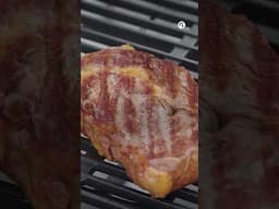 EliteFyre Intelligent Electric Grill is Perfect for Both Novice and Seasoned Grill Masters