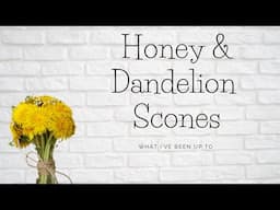 Honey & Dandelion Scones| cheap recipes| Frugal living