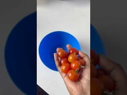 Cherry tomatoes 🍅 harvest #viral_video #gardening