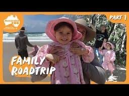 Hit the road with Bindi, Chandler & Grace | Irwin Family Adventures