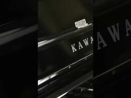 Can a Classical Pianist be Impressed by a Digital Piano? Watch The Full Review