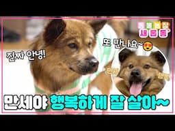 [#새롭동물농장] 만세와 버킷리스트를 이룬 전진X류이서☑️ 평생 가족과 함께할 만세의 새로운 시작을 응원해💙 / EP.1220 #TV동물농장 #AnimalFarm #SBSstory