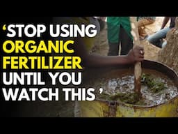 Organic vs Synthetic Fertilizer: The Truth No One Told You