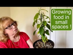 HOW I GROW FOOD IN SMALL SPACES | OLD FASHIONED FRUGAL LIVING VLOG