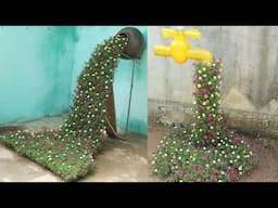 PORTULACA Paradise Found in this Mossrose Flower Garden Idea