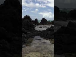 Watch the MAVEN Polarizer in action!  #mavenfilters #camerafilters