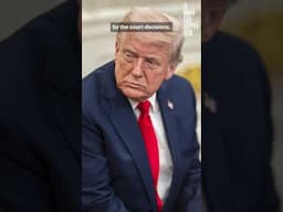 Trump's message: The law doesn’t matter, we can do what we want. #trump #bukele #deportations