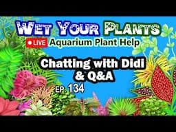 Aquarium & Pond Plant/Summer Tub Plant Chat with Didi, Q&A (WYP 134)