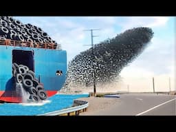 2 Million Tires Dumped in Ocean, Millions of Mosquitoes Released - Results Are Shocking