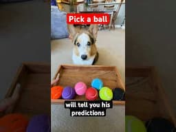Pick a Ball: Gatsby will Predict Your Week!
