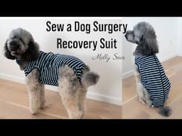 Make a Dog Surgery Shirt