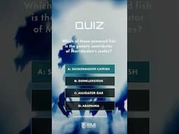 Indoraptor 2.0 Quiz #hybridwar #indoraptor #indominusrex #jurassicworldrebirth