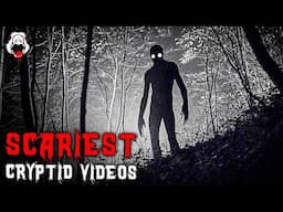 TOP 20 SCARIEST CRYPTIDS EVER FILMED [V1]
