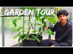 Trellis Ideas For Vegetable Garden | Early Summer Garden Tour And Harvest