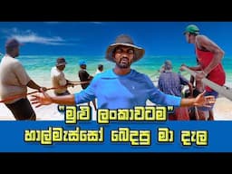 Amazing Seine Net Fishing In Sea | Traditional Fishing Method In Sri Lanka