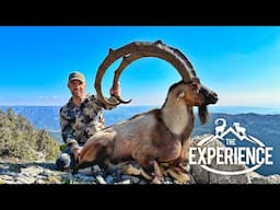 Türkiye: Bezoar Ibex Redemption