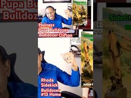 Holness pupa Bulldozer Bulldoze Clifton,Rhoda side chick Bulldozer,Bulldoze #13 home