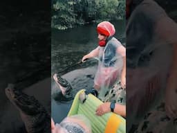 Crocodile FEEDING GONE WRONG! Close Call Caught on Camera! #trending #viralvideo #viralshort #shorts