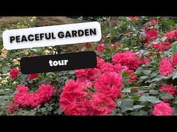 🌸 June Garden Tour - Blooms 🌸