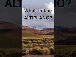 What is the Altiplano? #altiplano