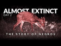 Finding the Rarest Deer in the Philippines Part 2