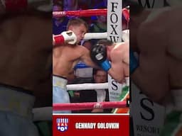 Gennady Golovkin DESTROYS Matthew Macklin
