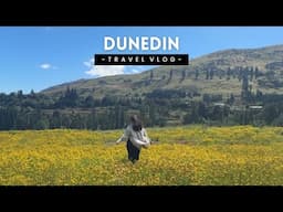 FIRST TIME IN DUNEDIN: THE EDINBURGH OF THE SOUTH | Travel New Zealand