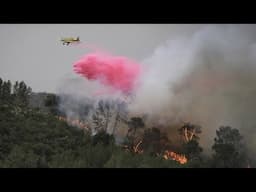 Israël : d'importants feux de forêt menacent Jérusalem