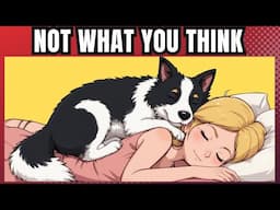 What Your Dog's Sleeping Position Reveals About Their Personality, Health and Character