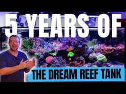5 Years of the dream reef tank - Has it achieved what I wanted it to do?