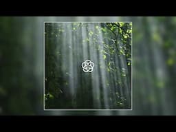 Petals - "Bask" (Official Audio)