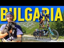 Life on Two Wheels (with a stray puppy) - A Short Film // Tall Bike Tour [Ep.12]