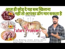 आज ही छोड़ दे यह सब डॉग को खिलाना Very bad dog food dog poisons food #dogfood #dogs #amitalbinopets