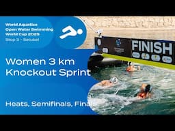 Women 3km Knockout Sprint | Open Water Swimming World Cup 2025 | Setubal