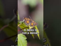 Is a Delay a Denial? - Pastor Rick’s Daily Hope