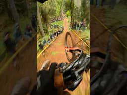 Mashup of good times at TDS Enduro last weekend