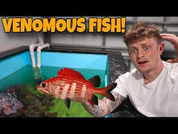 BUYING *NEW* VENOMOUS FISH FOR OUR POND!