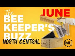 The Beekeeper's Buzz North Central Region: June 2025