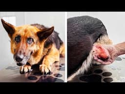 They left her abandoned with this. You need to see it.