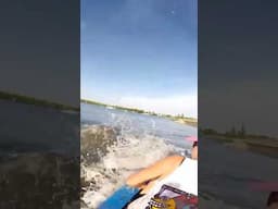 Florida Manatee Bumps Kayak #wildlife #outdoors