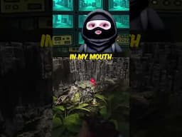 That Was Private… #survivalgaming #funny #floppysword
