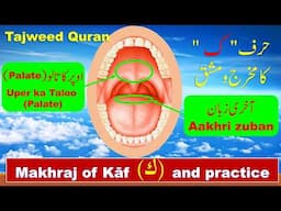 How to pronounce letter Kaf ( ك ) in Quran | Makhraj of Kaaf in Tajweed | Quran for beginners