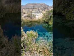 Crystal Spring: A stunning, Caribbean-blue pool at Ash meadows National Wildlife Refuge