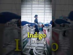 Indigo Cabin Crew Vacancy : June 2025 #cabincrewjobs #cabincrewinterview #indigoairlines