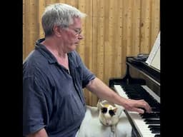 Debussy "Clair de Lune" for Drome (blind cat) #piano #cat