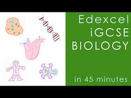 All of Edexcel BIOLOGY iGCSE in 45 mins - International GCSE O-level Science