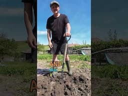 Sometimes You Gotta Deal with the Dirt to Grow, You Know....👨🏼‍🌾#gardentips #digging #gardenlovers